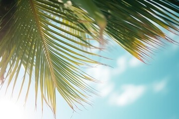 Poster - A close-up view of a palm tree with a clear blue sky in the background. This image can be used to depict tropical vacations, relaxation, or a sense of tranquility