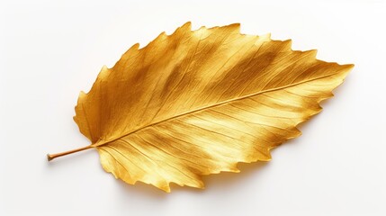 Aufkleber - A beautiful golden leaf resting on a pristine white surface. Perfect for nature-themed designs and backgrounds