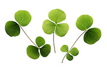 Shamrocks Clover Leaves St. Patrick's Day Celebrating, Set Clover Shamrock And Green Clover Leaf Quatrefoil Lucky, Isolated On A Transparent Background. Generative AI  