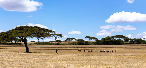 farmer in field