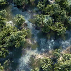 photorealitic image captured by a drone ,arial,view of a mangrove landscape