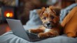 © tonstock - This tech-savvy pup has taken remote learning to a new level, using his laptop to order treats and showing how pets are adapting to modern technology.