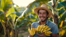 Harvesting: A Farmer Picking Bananas By Hand