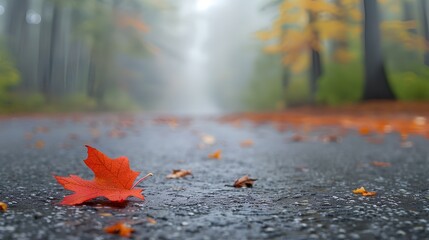 Wall Mural - Deciduous leaves, autumn, asphalt roads across forests. Subtle fog, beautiful, peaceful and tranquil national park backdrop. generative AI