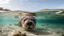 AI Generated Illustration Of A Cute Brown Otter Underwater Looking At The Camera