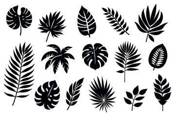 Wall Mural - Collection of exotic leaves silhouettes. icon set. Vector illustration