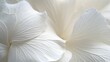 © Wirestock - Detailed macro shot of white flower petals illuminated by soft, natural light, AI-generated.