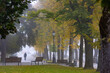 Deptak Krynicki w porannych mgłach jesienią. Widok na park.