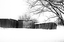 Black And White Winter Landscape With Old Ruined Wooden Shacks And Snow Covered Tree Branches
