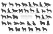 Dog breeds silhouettes simple style clipart. Herding dogs, sheepdog, shepherds collection