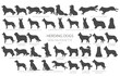 Dog breeds silhouettes simple style clipart. Herding dogs, sheepdog, shepherds collection
