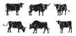 Cow vector illustration set. Cute ox, bull, calf in style of hand drawn black doodle on white background. Farm animals, domestic pet silhouette sketch