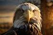 Extreme Close-up Picture of a Bald Eagle Face with Piercing Eyes, created with Generative AI technology