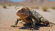 A close-up of a horned lizard walking on the desert sand with its front legs in motion, curiously looking at the camera. 