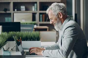 Wall Mural - Confident mature businessman working on laptop while sitting at his working place in office