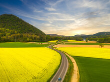 Road Through Spring Rapeseed Yellow Blooming Fields Panoramic View, Blue Sky With Clouds In Sunset. 