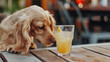 drunk dog drinking a cocktail. dog cheering a toast with cocktail drink, looking up. AI Generative