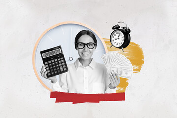 Poster - Collage 3d image of pinup pop retro sketch of excited female calculator money fan earn investing bizarre unusual fantasy billboard comics