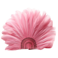 Burlesque feather fan on white or transparent background