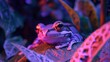 vaporwave frog purple infrared, ultraviolet purple