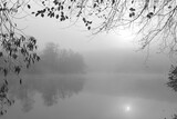 Fototapeta Natura - misty morning, grief and loss concept, mourning cards, black & white