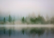 Wald an einem Seeufer im Nebel mit Spiegelung im Wasser, Freifläche
