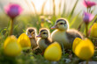 Spring flowers background. Happy Easter ducklings and eggs