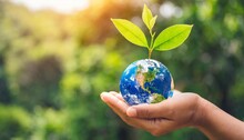 Earth Day Or World Environment Day Environmentally Friendly Concept Save Our Planet Restore And Protect Green Nature Sustainable Lifestyle And Climate Literacy Theme Tree Grows On Globe In Hand
