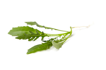 Wall Mural - Arugula leaves isolated on white background. Fresh leafy green vegetable. It's a low-calorie vegetable, making it a great choice for those watching their calorie intake