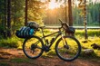 Bicycle in the forest. Camping in the forest, Camping rest in a forest road on forest sunny background
