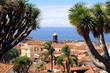 Ocean view in La Orotava, Tenerife. Palm trees