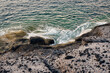 Waves break on the coastal rocks. White foam on green water. Seascape at sunrise.