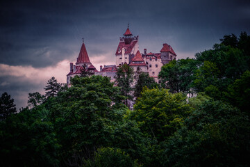 Wall Mural - View on the spooky Bran castle among trees in a heavy rain, Romania