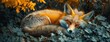 Fox Slumber: Capturing the Beauty of a Sleeping Red Fox