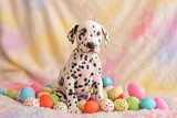 Fototapeta Zwierzęta - A playful Dalmatian puppy with vibrant Easter-themed spots, sitting amidst a scatter of multicolored Easter eggs on a soft, textured surface