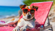 Beautiful Jack Russell Terrier dog breed closeup, wearing red sunglasses, resting and relaxing on a sunny summer vacation or holiday beach, lying on a comfortable lounge chair or easy chair 
