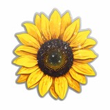Fototapeta Kwiaty - Vibrant Yellow Sunflower Illustration with Water Drops on Petals