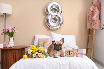 Sticker - Cute French bulldog with gifts, tulips and cube calendar at home. International Women's day