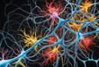 Neuronal learning, 3d neurons forge new connections, strengthening the brain's cognitive abilities, Neurons in the brain act as messengers,  brain's neurons fire in synchrony, deep concentration focus