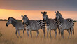 Horizontal photo of zebras in africa against sunset background