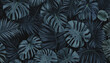 Deep blue tropical foliage backdrop with space for message on nature theme