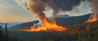 panorama of a forest fire, burning trees and bushes