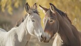 Fototapeta Konie - Adorable Bond Between Donkey and Horse AI Generated.