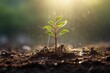 Green seedling illustrating concept of new life and environmental conservation, closeup