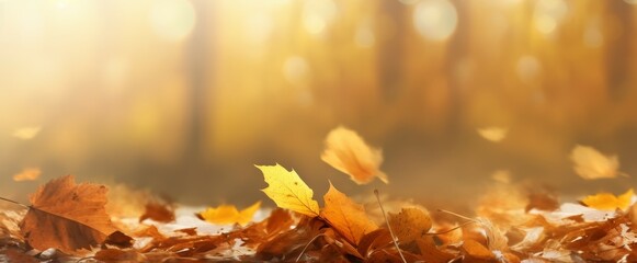 Poster - Colorful universal natural autumn background