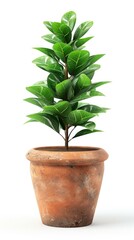 Sticker - A potted plant with green leaves on a white background. Generative AI.