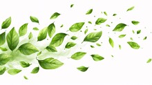 Green Fluttering Foliage, Organic Cosmetic Backdrop, Herbal Tea, Plant-based Eco-friendly Design Element, Falling Leaf, Summer Foliage Decoration, Beauty Item, Nutritious Cuisine, Illustration.