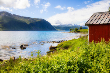 Wall Mural - From Bergsfjorden on the Beautiful Norwegian Island of Senja