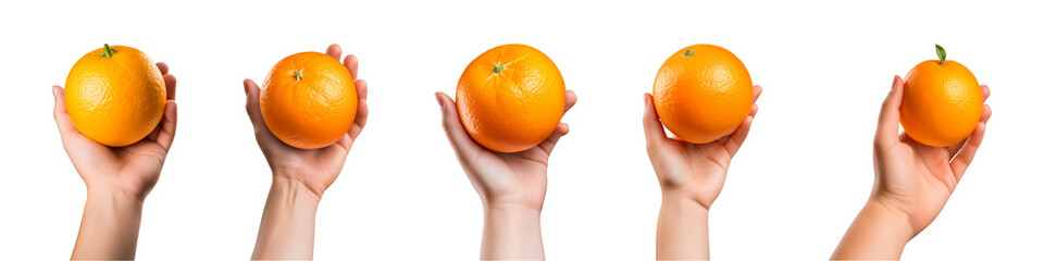 Collection of hand-holding orange fruits isolated on a transparent background