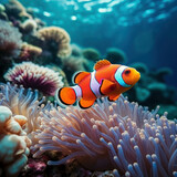 Fototapeta Do akwarium - Immerse yourself in the beauty of the ocean with a clownfish swimming near colorful coral and anemones. AI generative.
